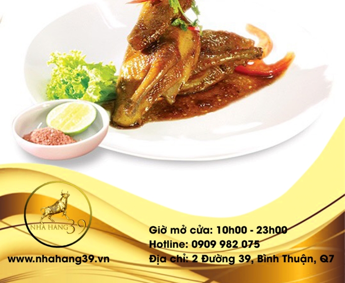 Bồ câu khìa nước dừa