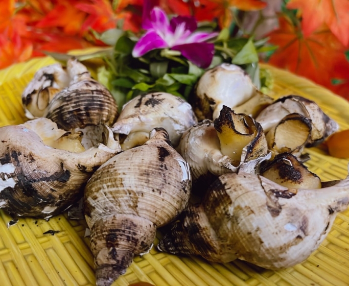 Ốc  Bulot  Nướng  Mọi